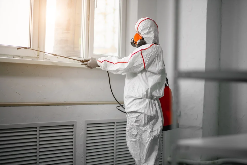 Professional mold remediation services in Stoughton, WI